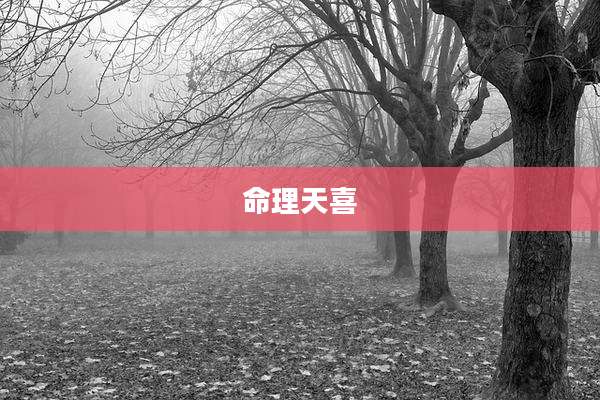 命理天喜