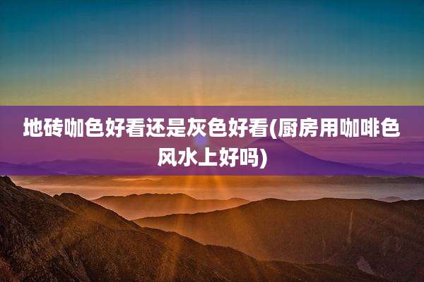 地砖咖色好看还是灰色好看(厨房用咖啡色风水上好吗)