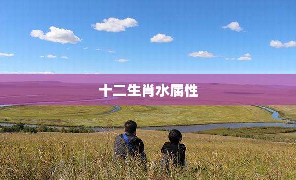 十二生肖水属性