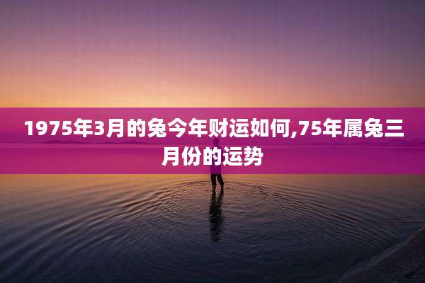 1975年3月的兔今年财运如何,75年属兔三月份的运势