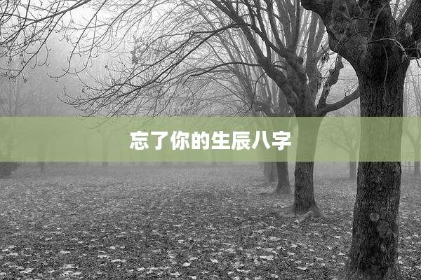 忘了你的生辰八字