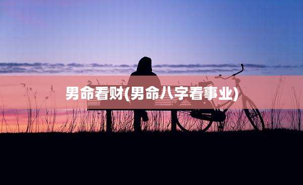 男命看财(男命八字看事业)