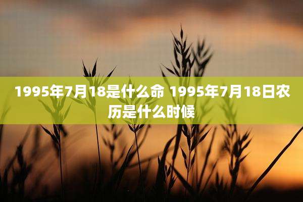 1995年7月18是什么命 1995年7月18日农历是什么时候