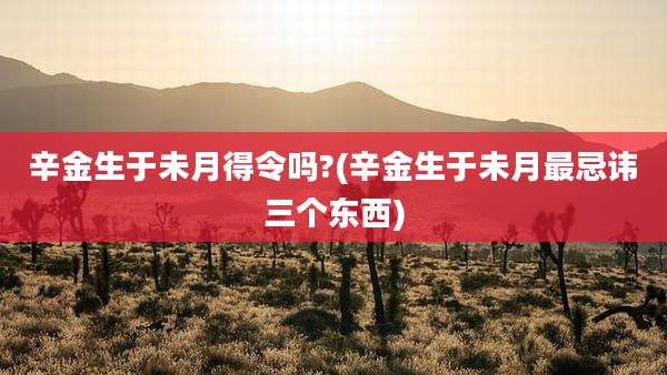 辛金生于未月得令吗?(辛金生于未月最忌讳三个东西)