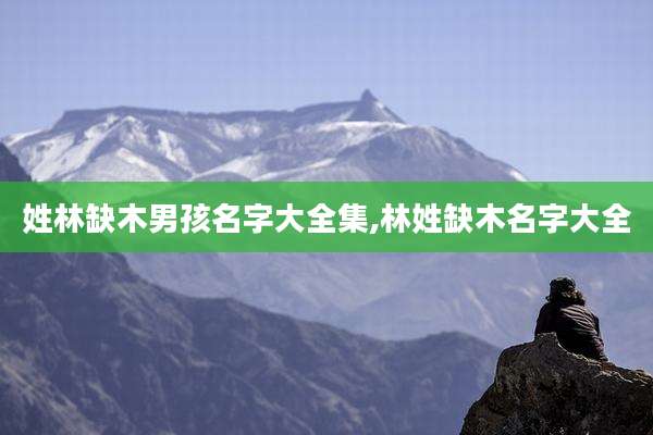 姓林缺木男孩名字大全集,林姓缺木名字大全