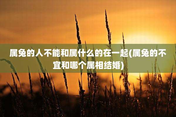 属兔的人不能和属什么的在一起(属兔的不宜和哪个属相结婚)