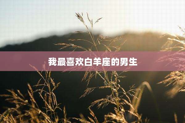 我最喜欢白羊座的男生