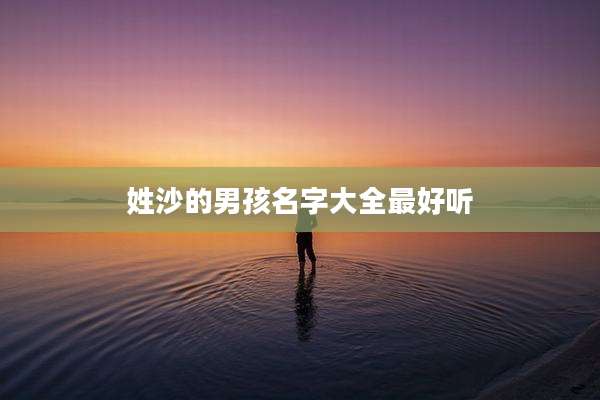 姓沙的男孩名字大全最好听