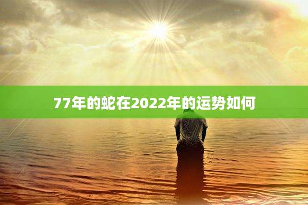 77年的蛇在2022年的运势如何