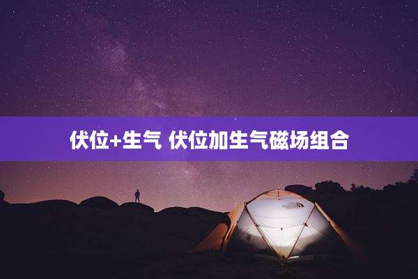 伏位+生气 伏位加生气磁场组合