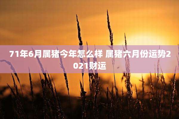 71年6月属猪今年怎么样 属猪六月份运势2021财运