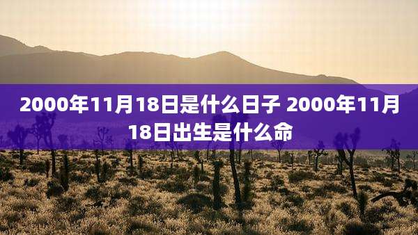 2000年11月18日是什么日子 2000年11月18日出生是什么命