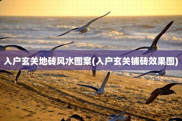 入户玄关地砖风水图案(入户玄关铺砖效果图)