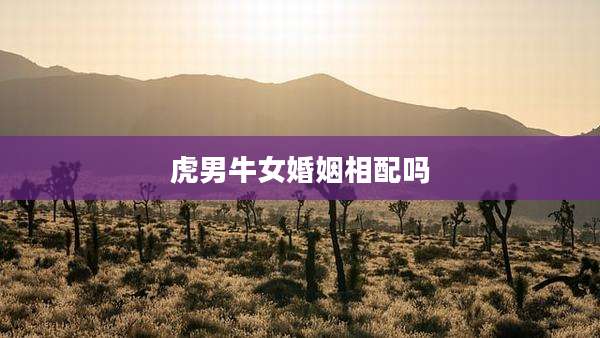 虎男牛女婚姻相配吗