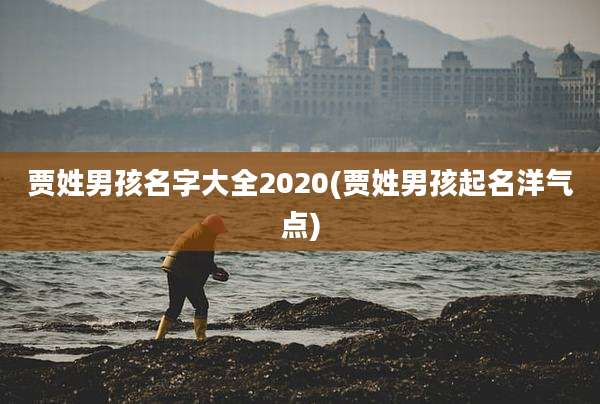 贾姓男孩名字大全2020(贾姓男孩起名洋气点)