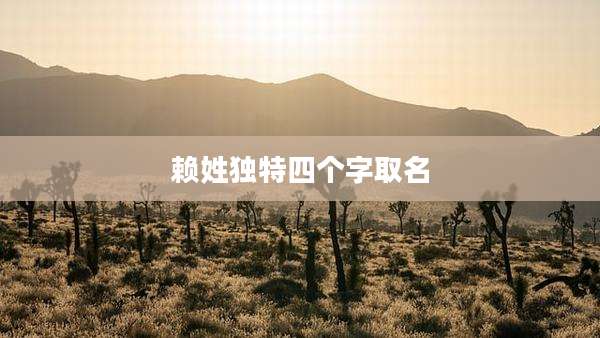 赖姓独特四个字取名