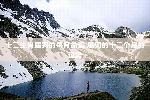 十二生肖属狗的每月命运 属狗的十二个月的运势