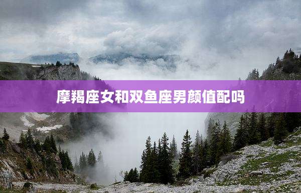 摩羯座女和双鱼座男颜值配吗