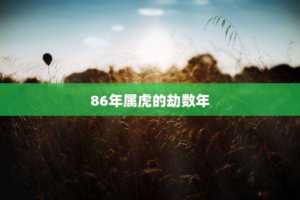 86年属虎的劫数年