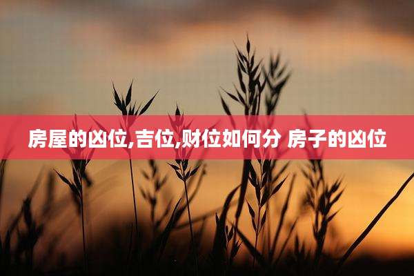 房屋的凶位,吉位,财位如何分 房子的凶位