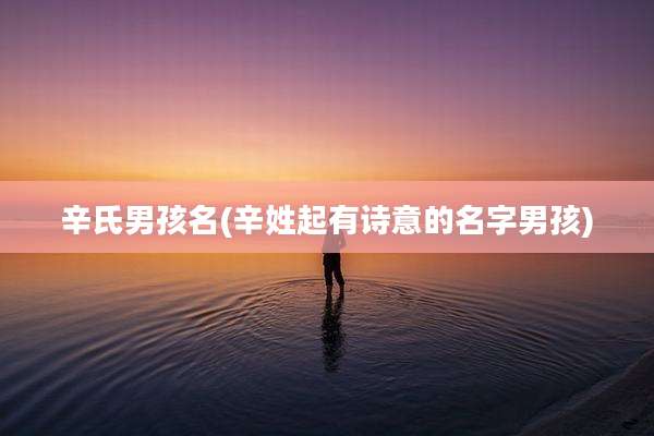 辛氏男孩名(辛姓起有诗意的名字男孩)