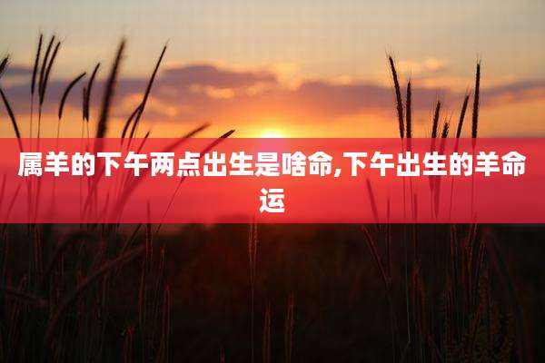 属羊的下午两点出生是啥命,下午出生的羊命运