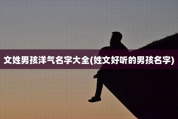 文姓男孩洋气名字大全(姓文好听的男孩名字)