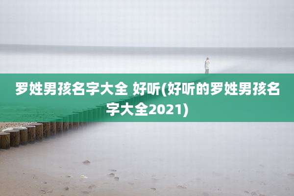 罗姓男孩名字大全 好听(好听的罗姓男孩名字大全2021)
