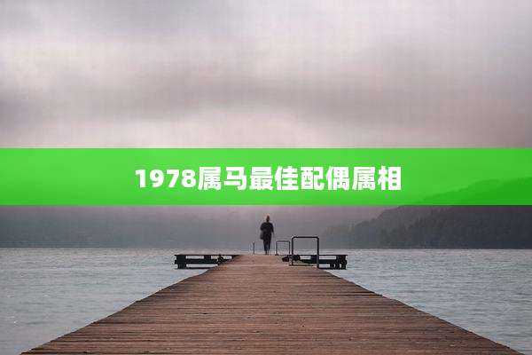 1978属马最佳配偶属相