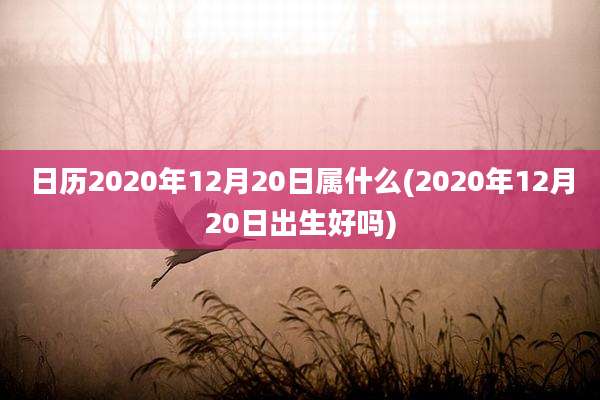 日历2020年12月20日属什么(2020年12月20日出生好吗)