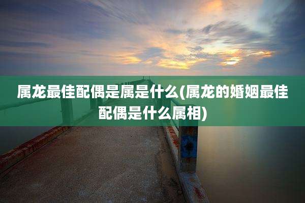属龙最佳配偶是属是什么(属龙的婚姻最佳配偶是什么属相)