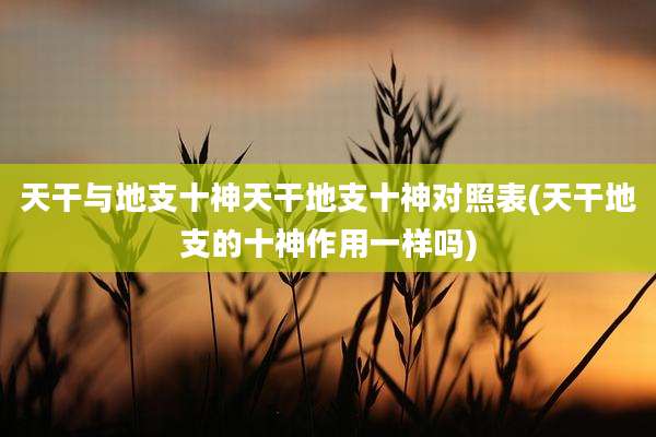 天干与地支十神天干地支十神对照表(天干地支的十神作用一样吗)