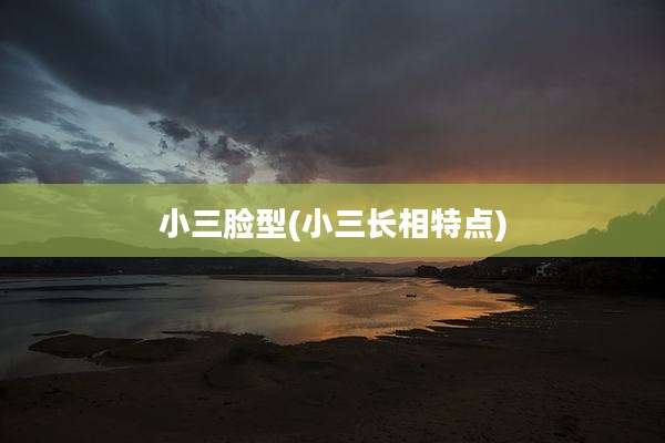 小三脸型(小三长相特点)