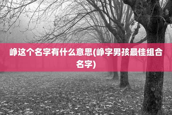 峥这个名字有什么意思(峥字男孩最佳组合名字)