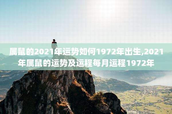 属鼠的2021年运势如何1972年出生,2021年属鼠的运势及运程每月运程1972年