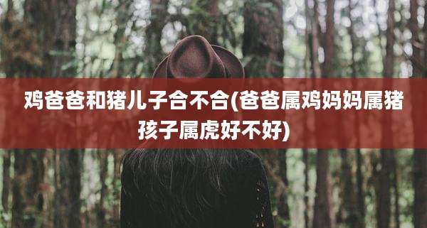 鸡爸爸和猪儿子合不合(爸爸属鸡妈妈属猪孩子属虎好不好)