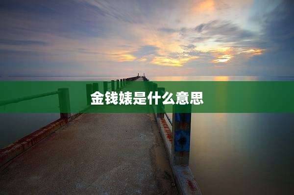 金钱婊是什么意思