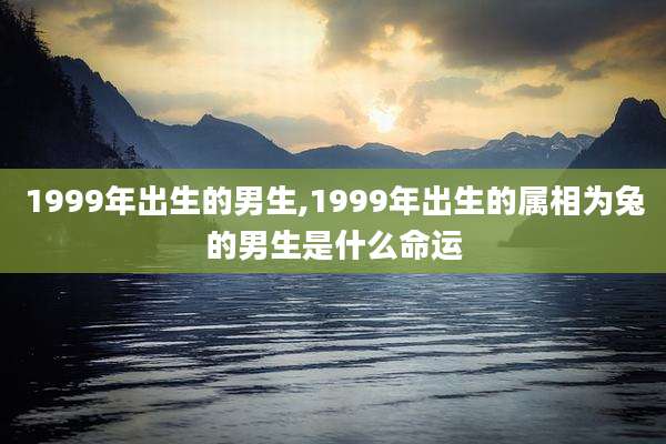 1999年出生的男生,1999年出生的属相为兔的男生是什么命运