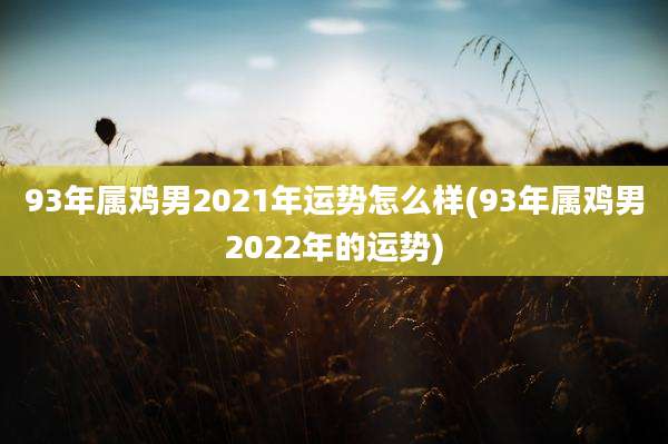 93年属鸡男2021年运势怎么样(93年属鸡男2022年的运势)