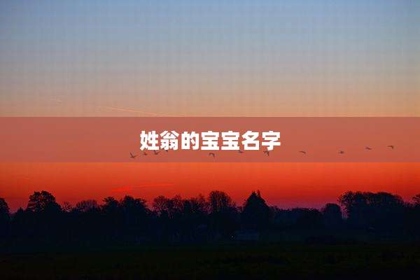 姓翁的宝宝名字