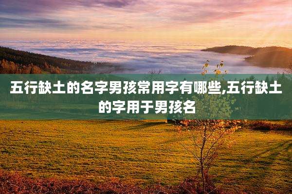 五行缺土的名字男孩常用字有哪些,五行缺土的字用于男孩名