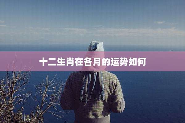 十二生肖在各月的运势如何
