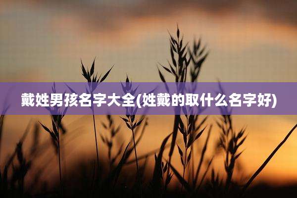 戴姓男孩名字大全(姓戴的取什么名字好)
