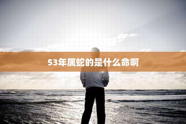 53年属蛇的是什么命啊