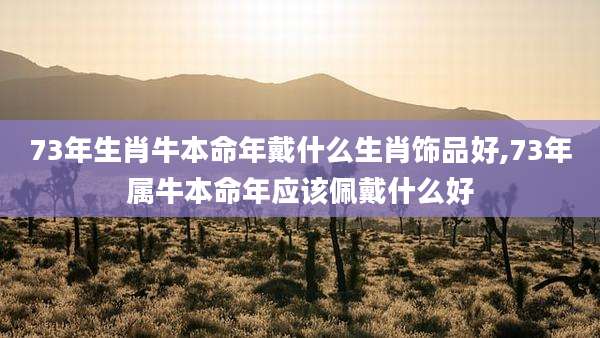 73年生肖牛本命年戴什么生肖饰品好,73年属牛本命年应该佩戴什么好