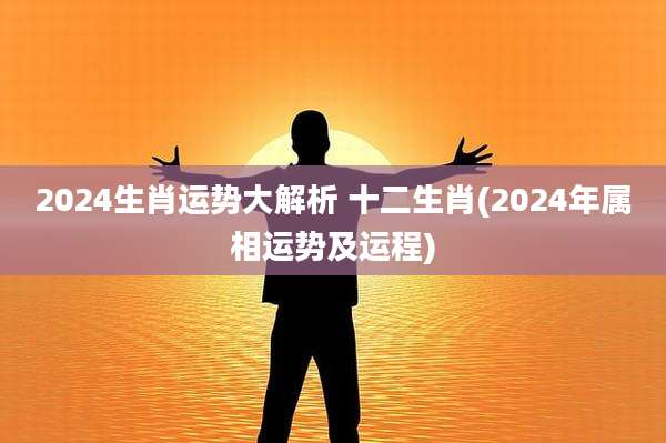 2024生肖运势大解析 十二生肖(2024年属相运势及运程)