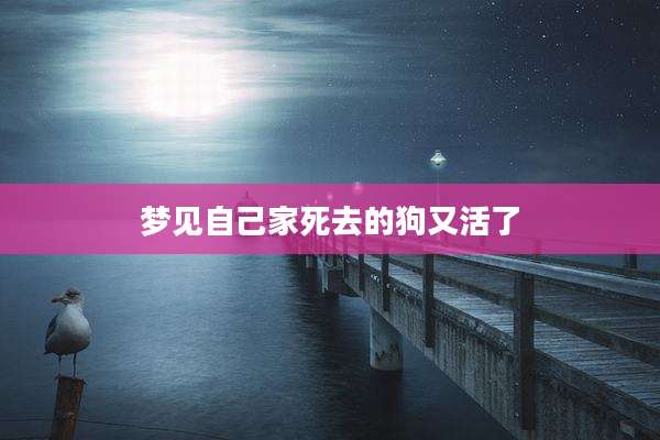 梦见自己家死去的狗又活了