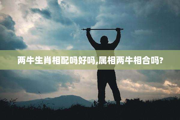 两牛生肖相配吗好吗,属相两牛相合吗?