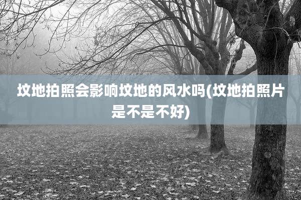 坟地拍照会影响坟地的风水吗(坟地拍照片是不是不好)