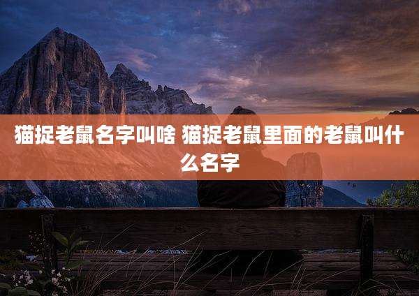 猫捉老鼠名字叫啥 猫捉老鼠里面的老鼠叫什么名字